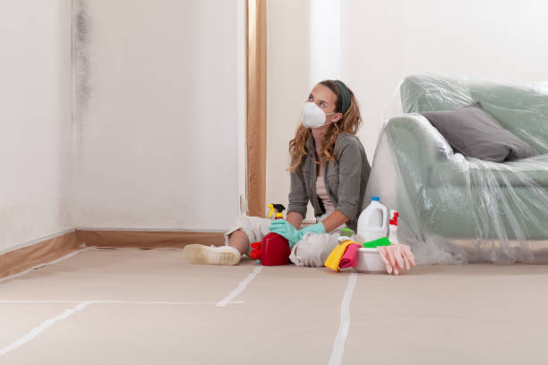 Reliable Mold Remediation contractor in Zebulon, GA by 24 Hour Mold Removal